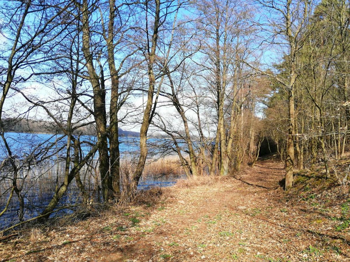 Domki Nad Jeziorem Dąbrówno Extérieur photo