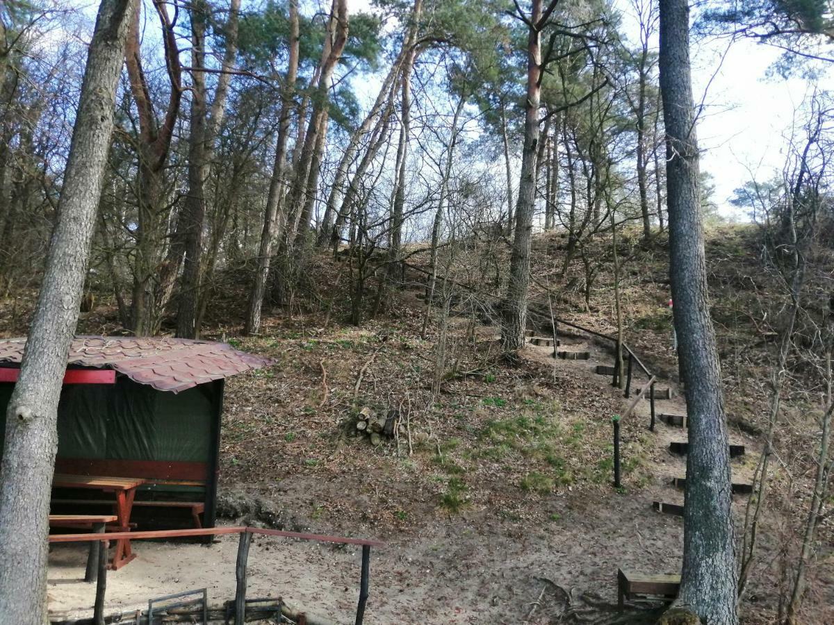 Domki Nad Jeziorem Dąbrówno Extérieur photo